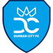 Durban City logo